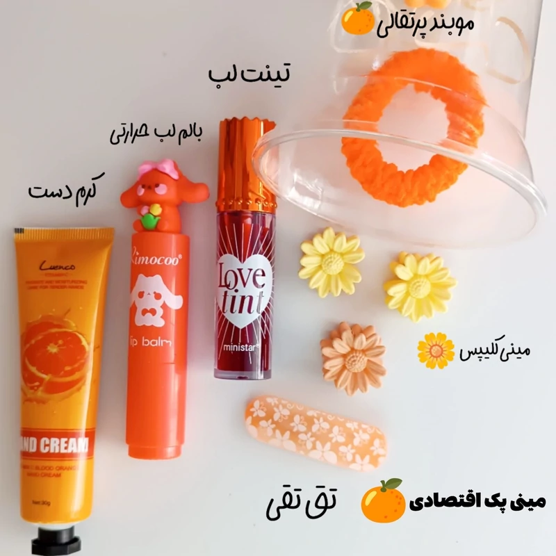 مینی آیس پک اقتصادی